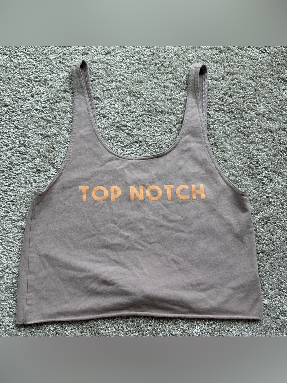 OFFLINE by Aerie Cropped Tank Top Stretch Scoop Neck Taupe Women's XS
